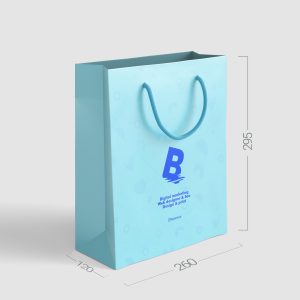 بگ شاپ 260x295x120 کدv504